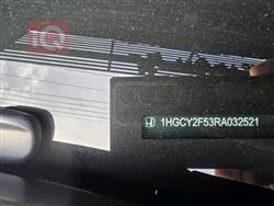 شانجان هنتر